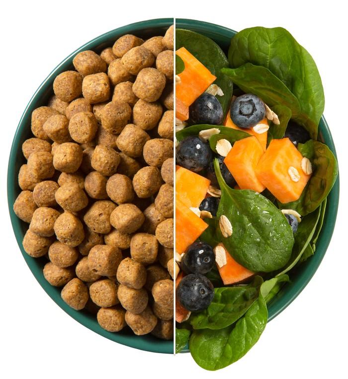 2023 Guide to Natural Pet Food Providing Healthier Nutrition for Your Furry Friends